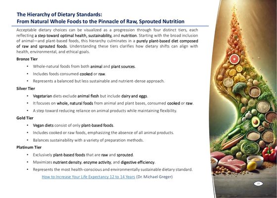 Workbook page: The Hierarchy of Dietary Standards, the four-tier system from Bronze to Platinum