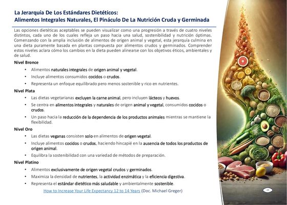 Página del libro de implementación: La Jerarquía de los Estándares Dietéticos, de Bronce a Platino